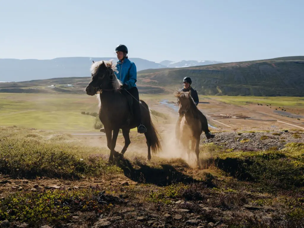two people riding Icelandic horses through a vast landscape
