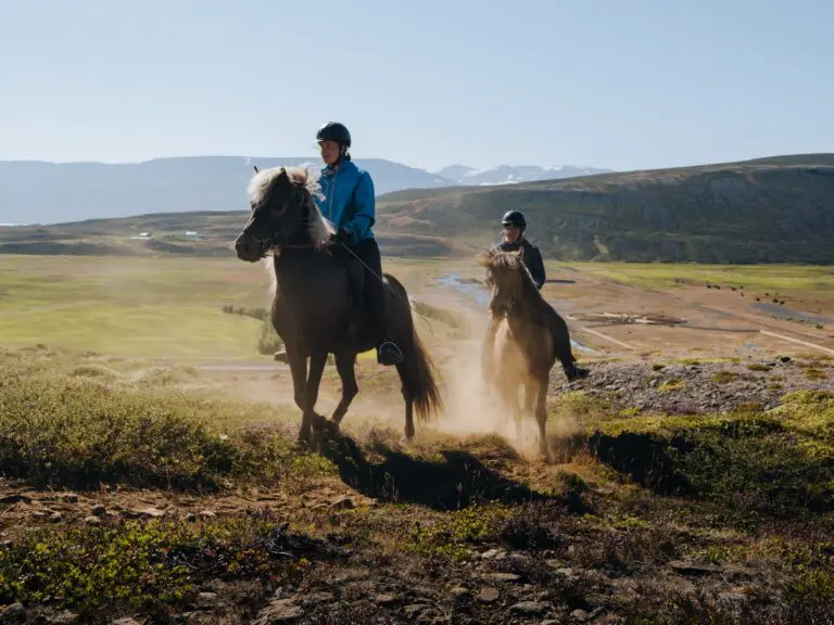 two people riding Icelandic horses through a vast landscape