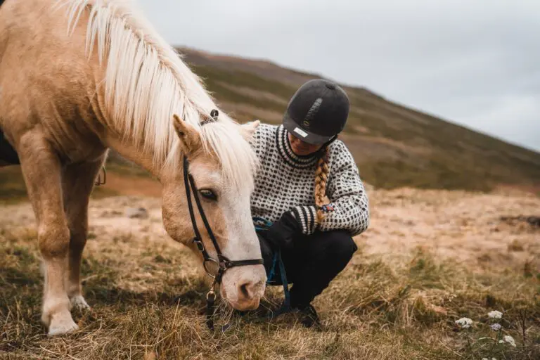 person in helmet petting a horse in a field