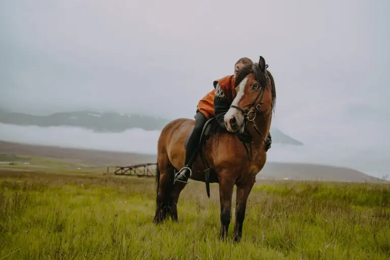 person riding an Icelandic horse in a misty green field