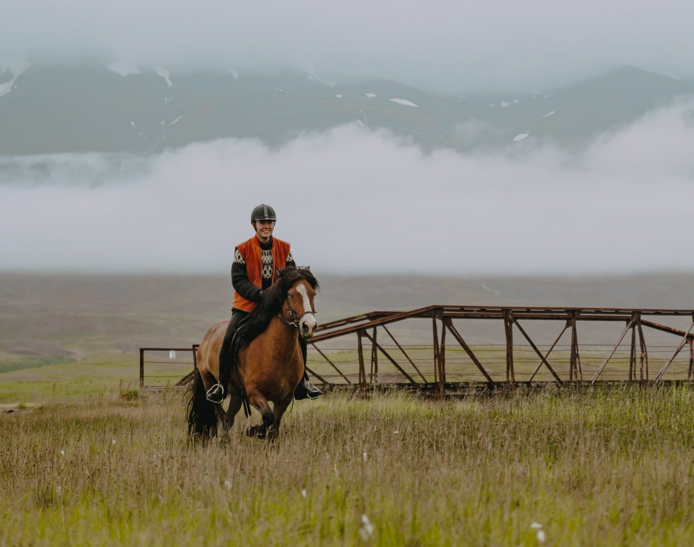 Balade te paard in IJsland